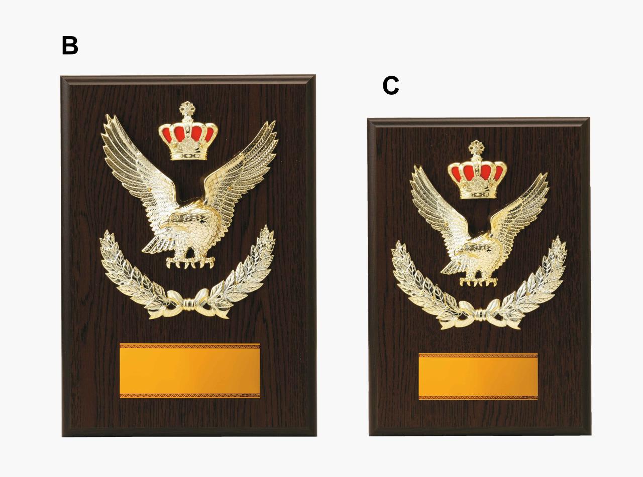 スタンダード楯(041)