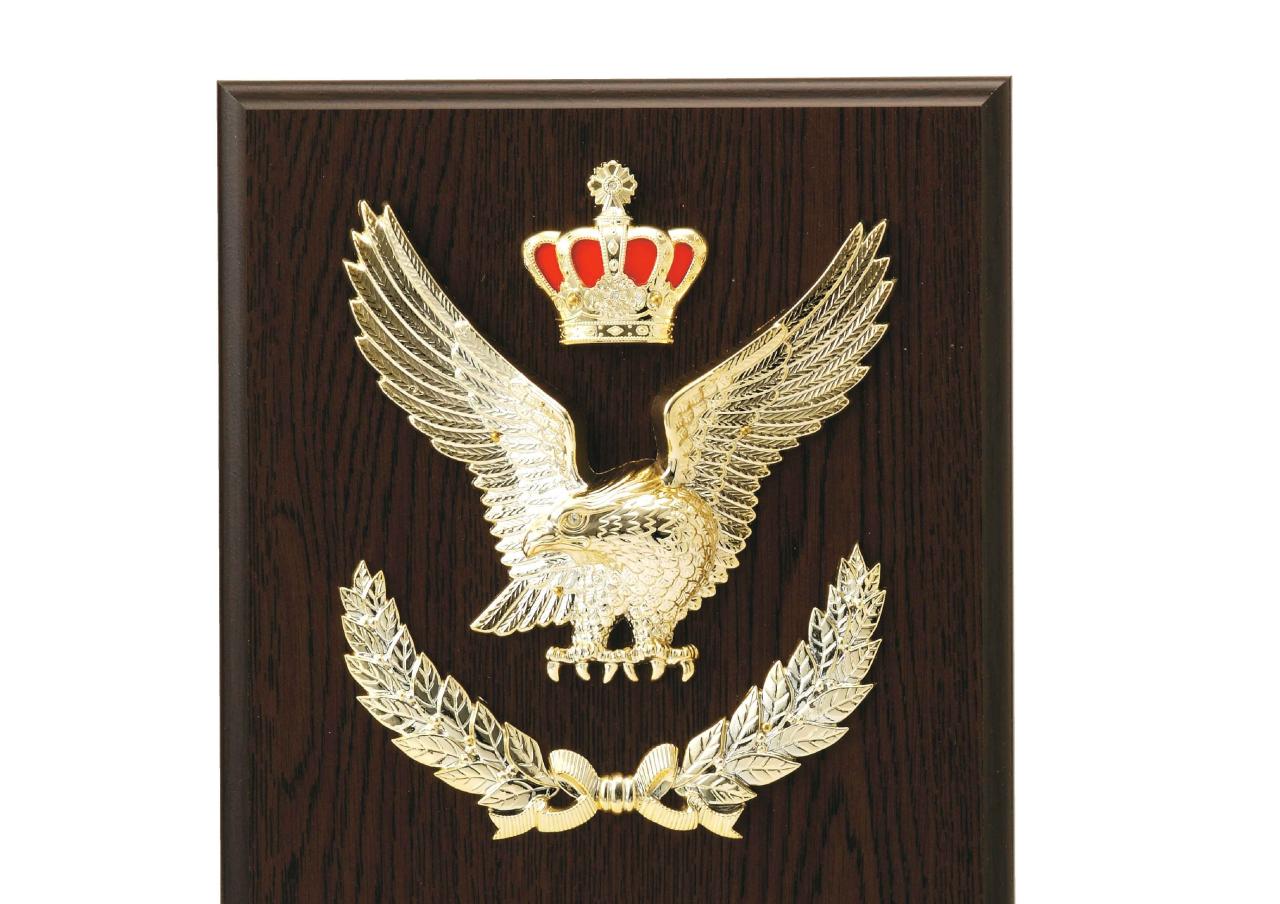 スタンダード楯（041）