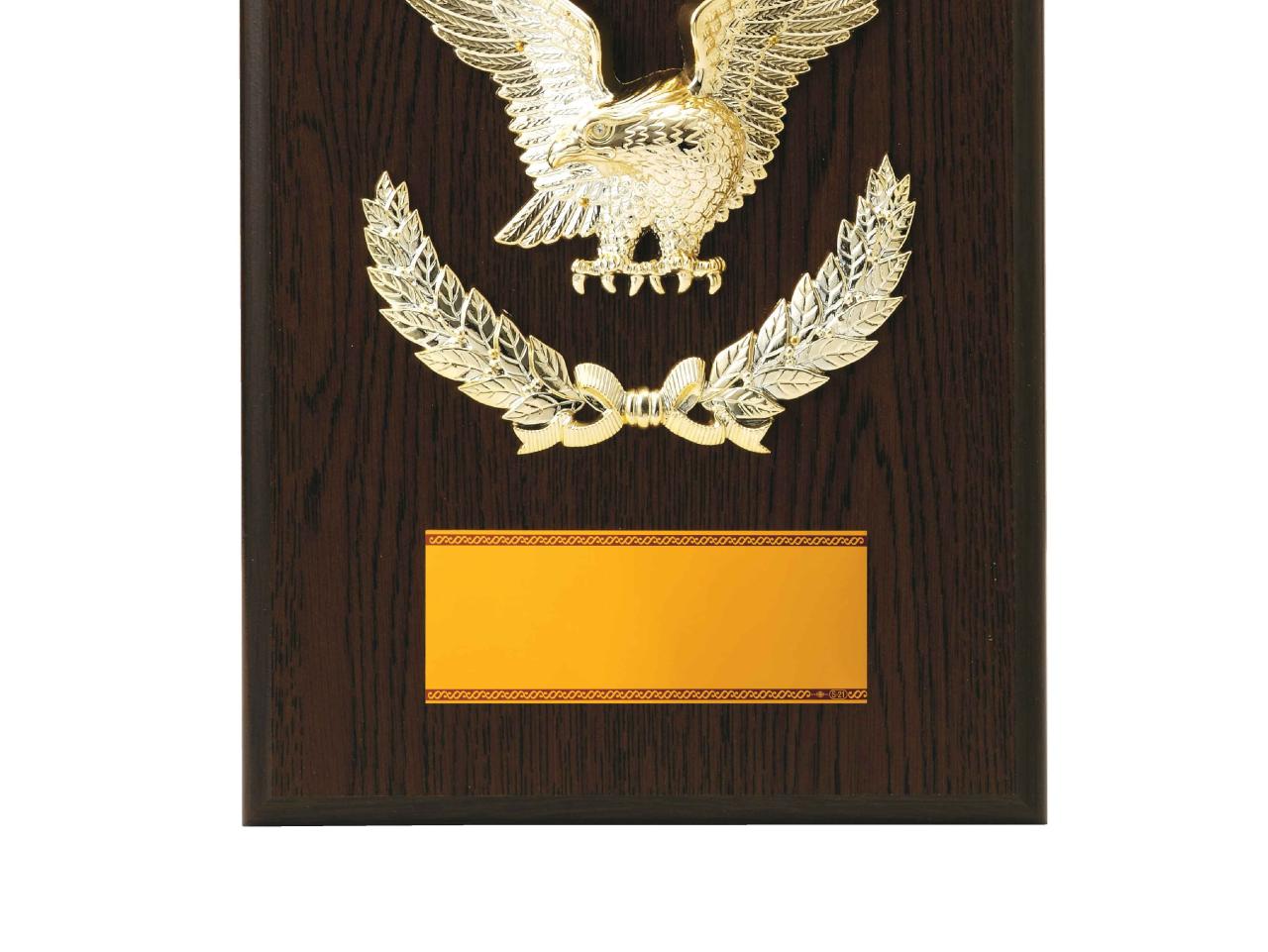 スタンダード楯（041）