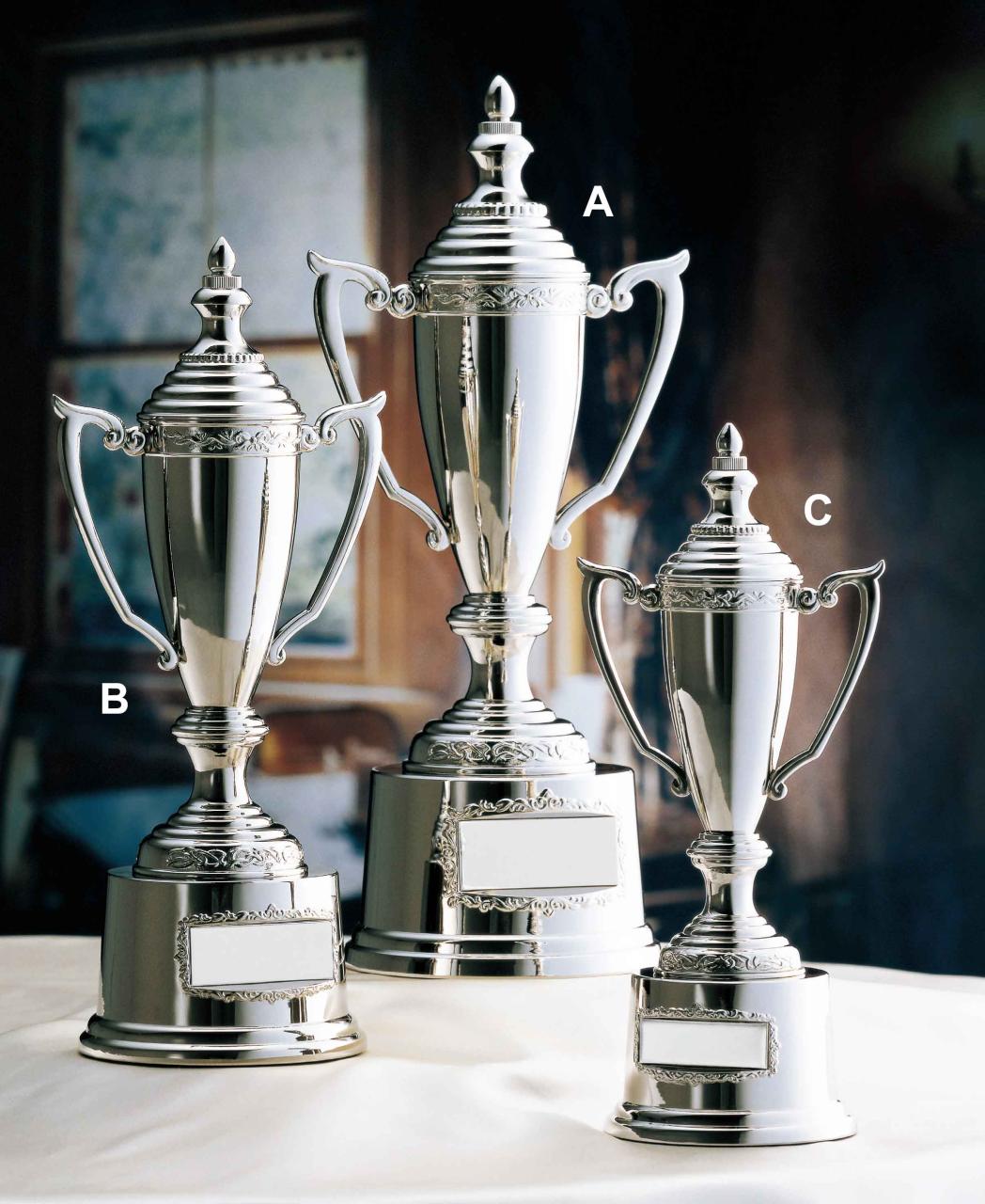 銀色カップ(9504)