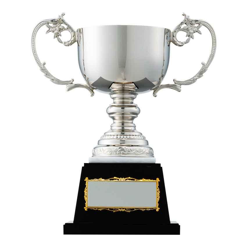 運動会用カップ（9501）