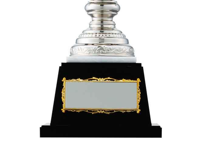 銀色カップ(9501)