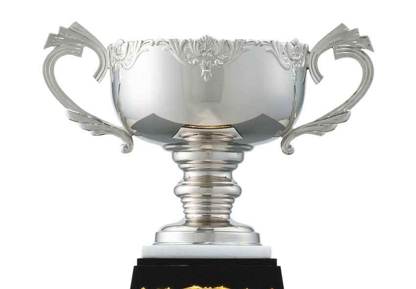 銀色カップ(9502)