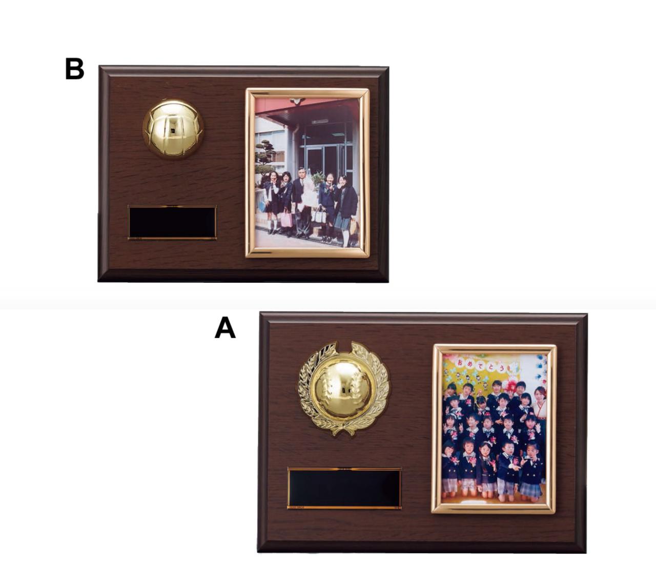 レリーフが選べる　写真が入る楯(5503)