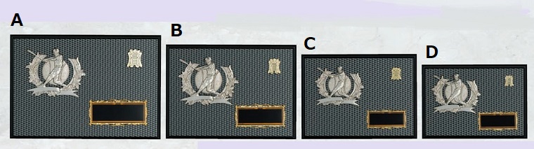 野球専用 楯（5100）