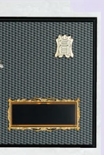 野球専用 楯（5100）
