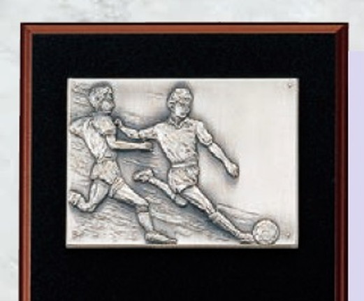 サッカー専用楯（5107）