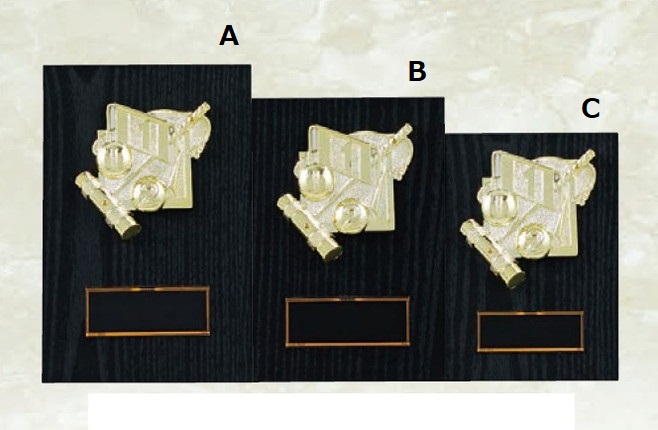 ゲートボール専用楯(7113)