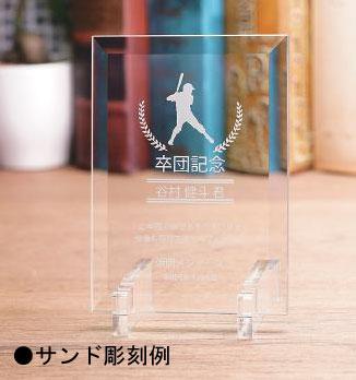 セミオーダーガラス楯（PMYS800）