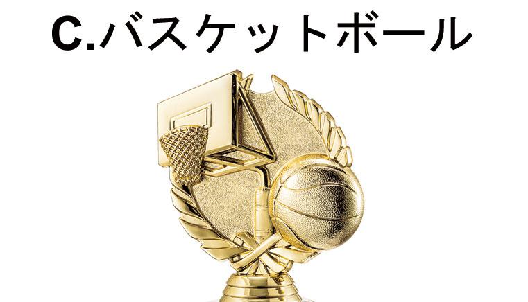 競技別ブロンズトロフィー（589）