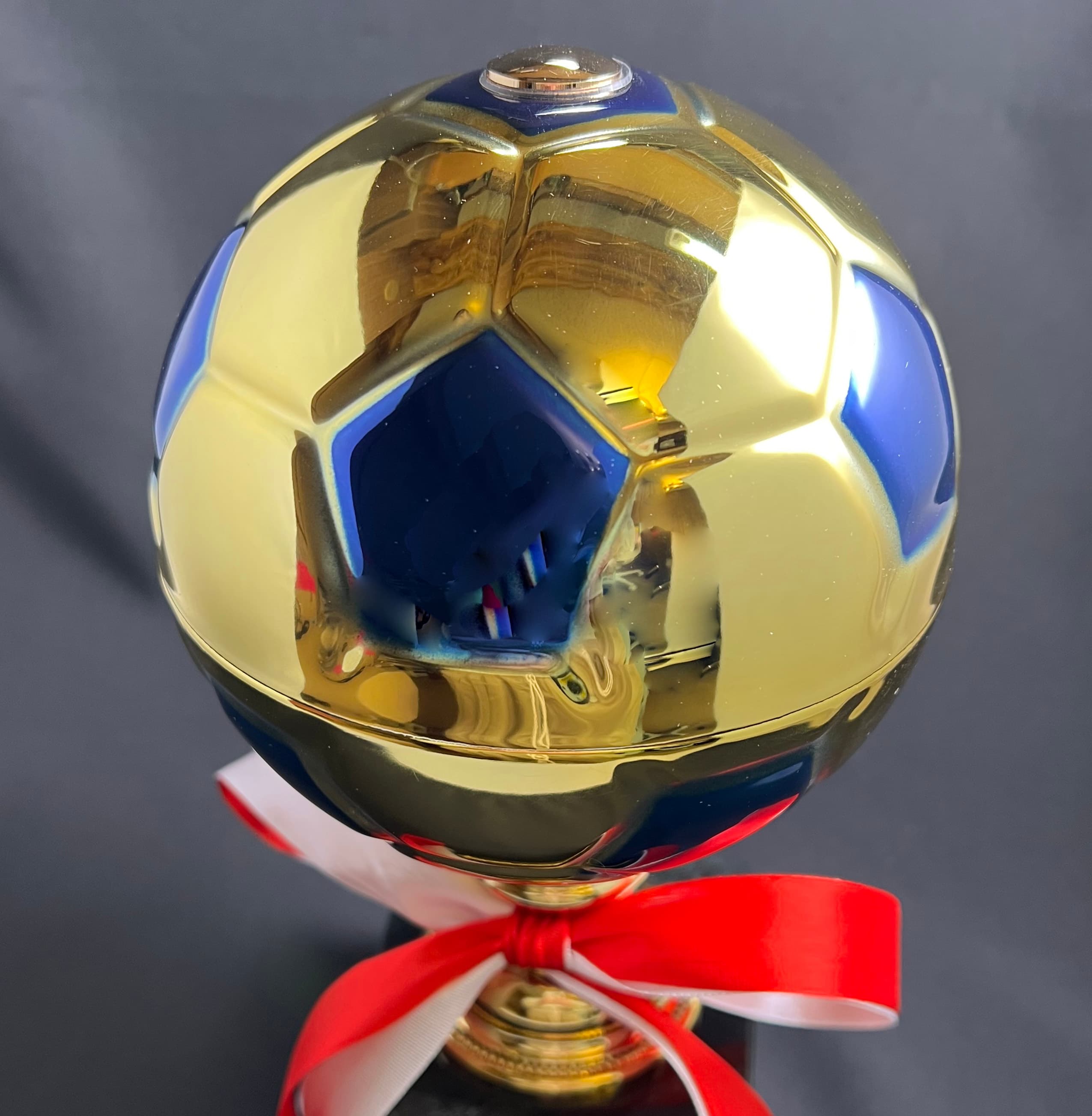 小菅杯少年サッカー大会優勝トロフィー 小菅杯少年サッカー大会優勝トロフィー