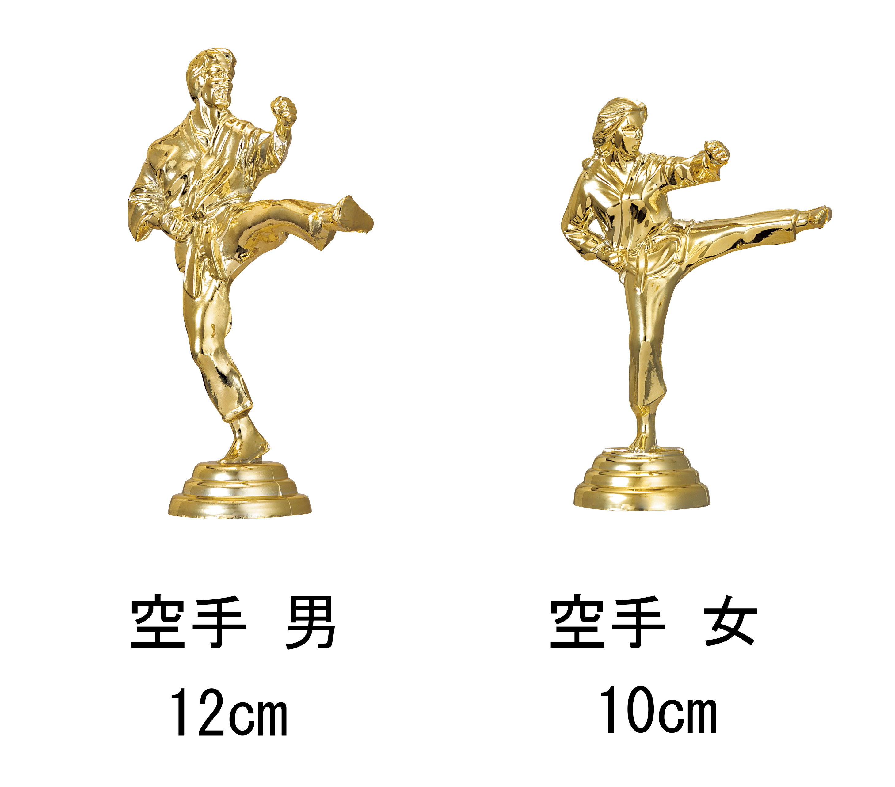 商品説明