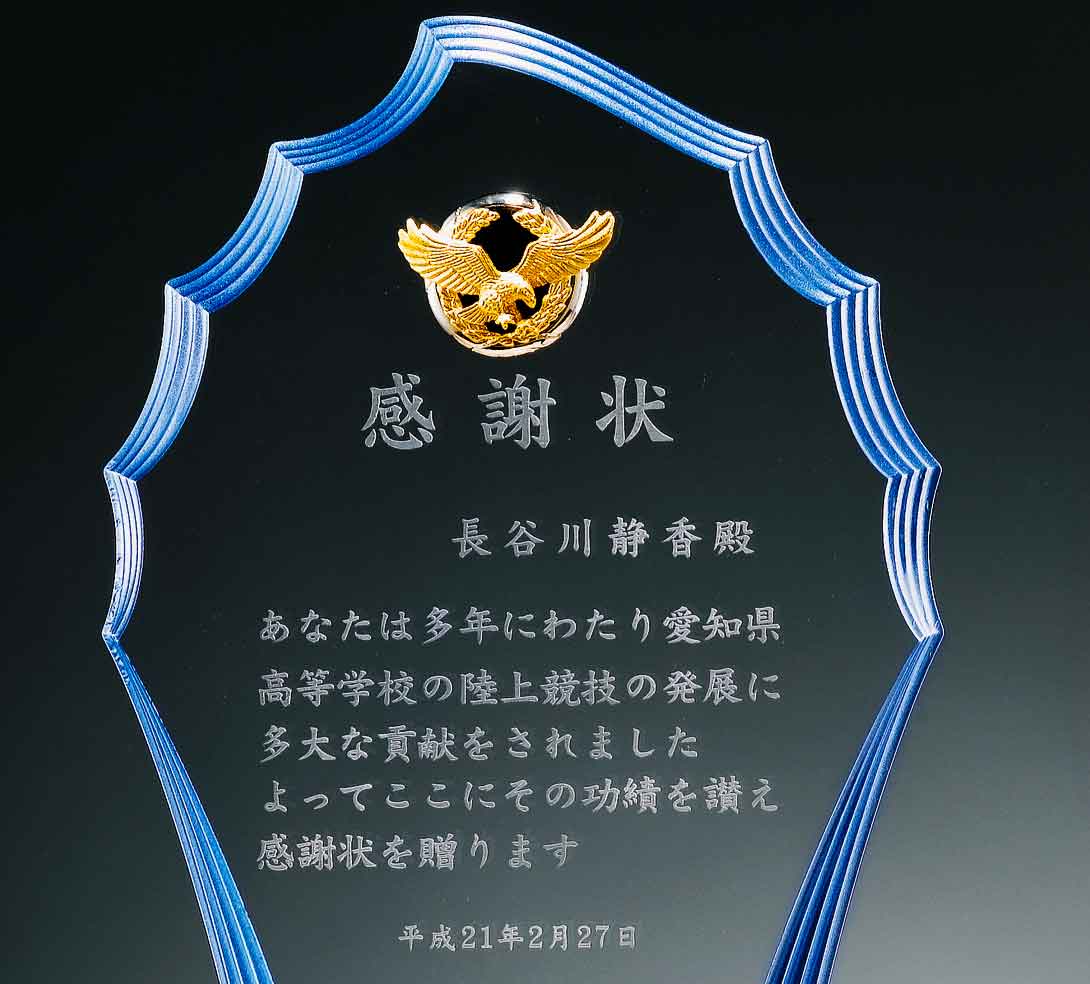 商品説明