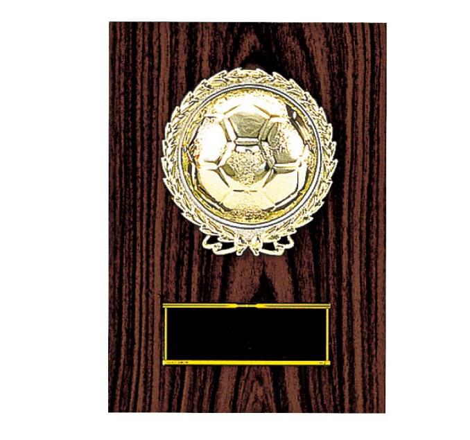 サッカー専用楯（5459）