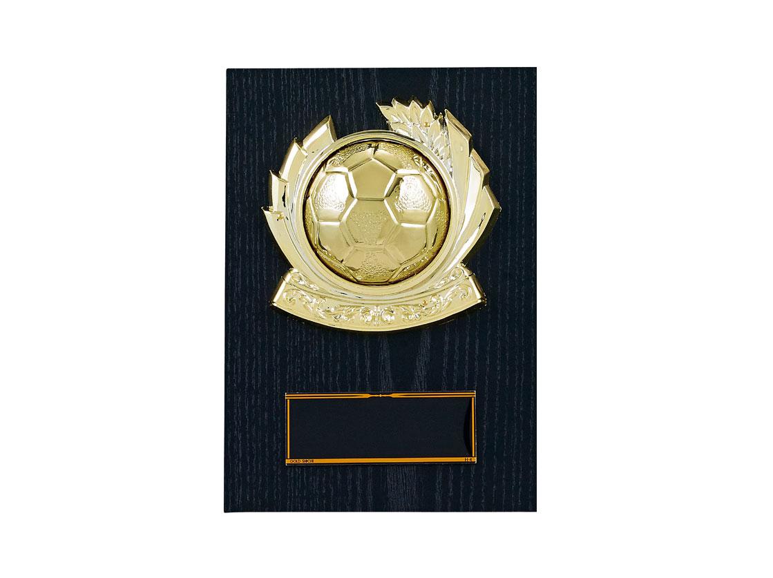 サッカー専用楯（5110）