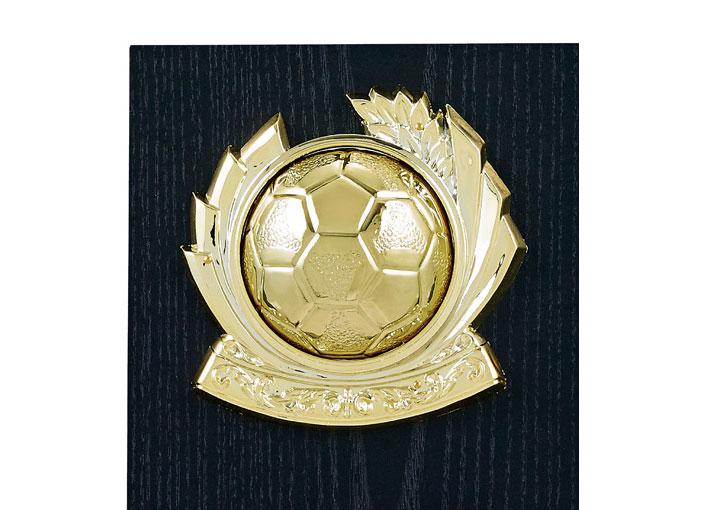 サッカー専用楯（5110）