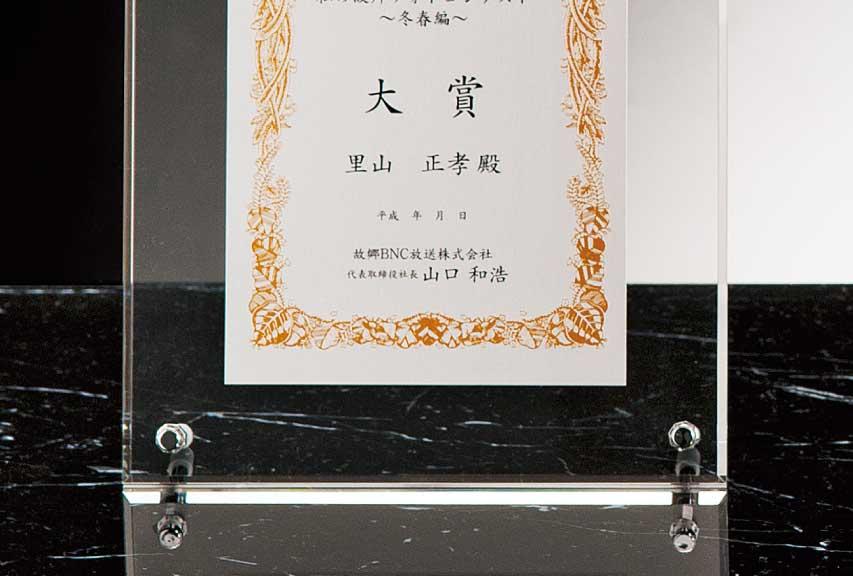 表彰楯（P374）
