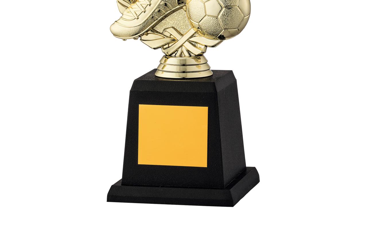 サッカー専用トロフィー（590）