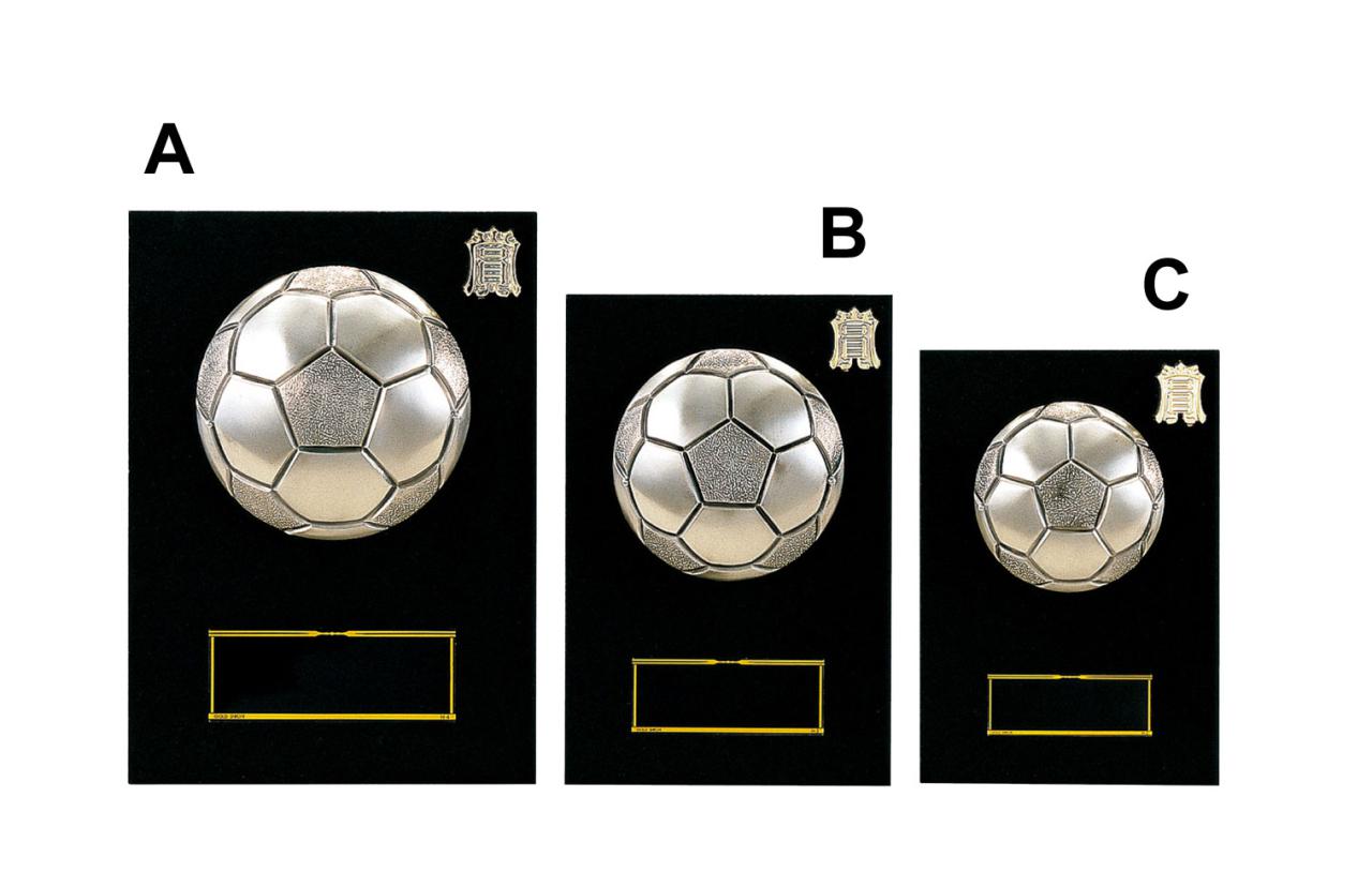 サッカー専用楯（5108）