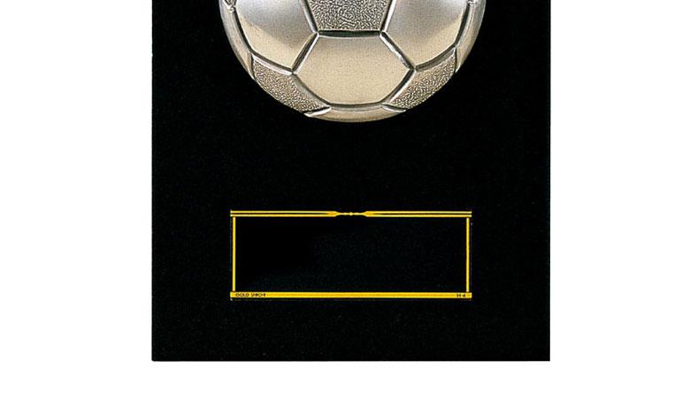 サッカー専用楯（5108）