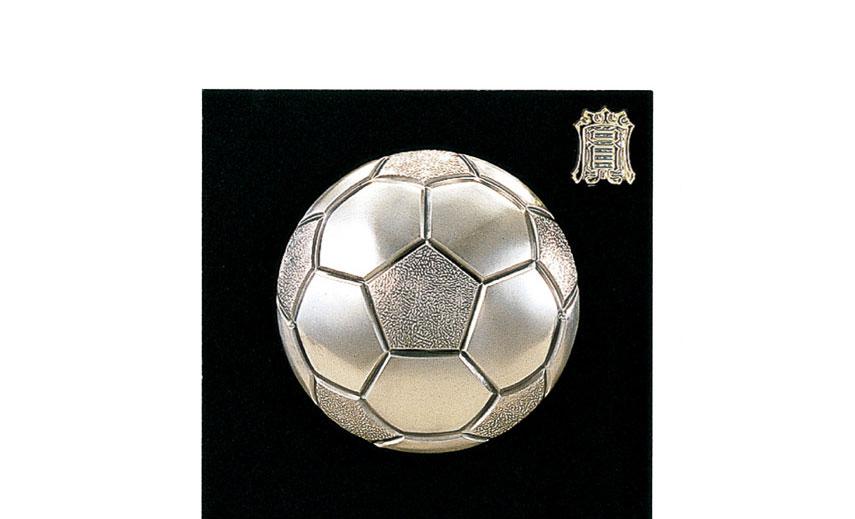 サッカー専用楯（5108）