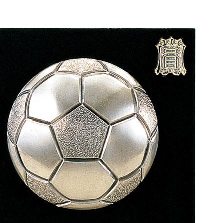 サッカー専用楯（5108）