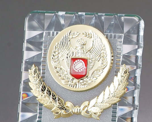 相撲用 楯（145）