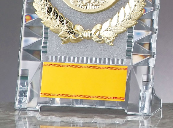 相撲用 楯（145）