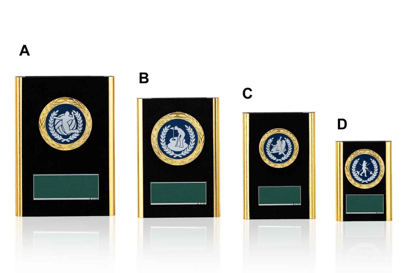 サッカー専用楯（6332）