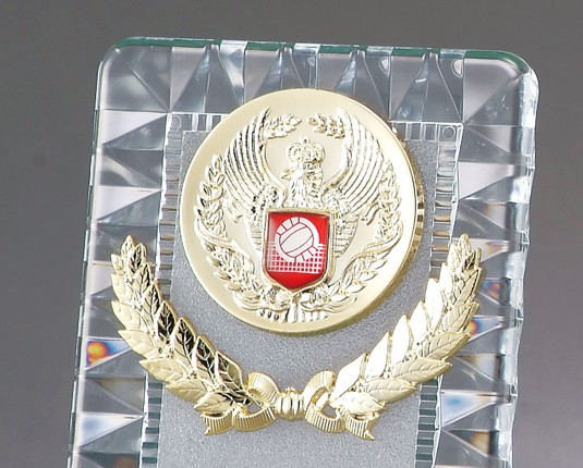 馬専用楯（145）