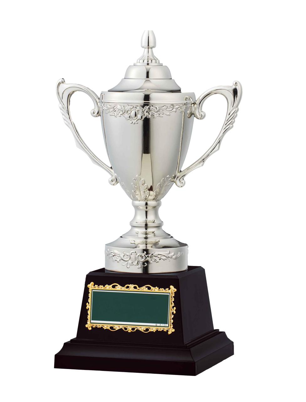 匠の技 アーサーカップ(1035)