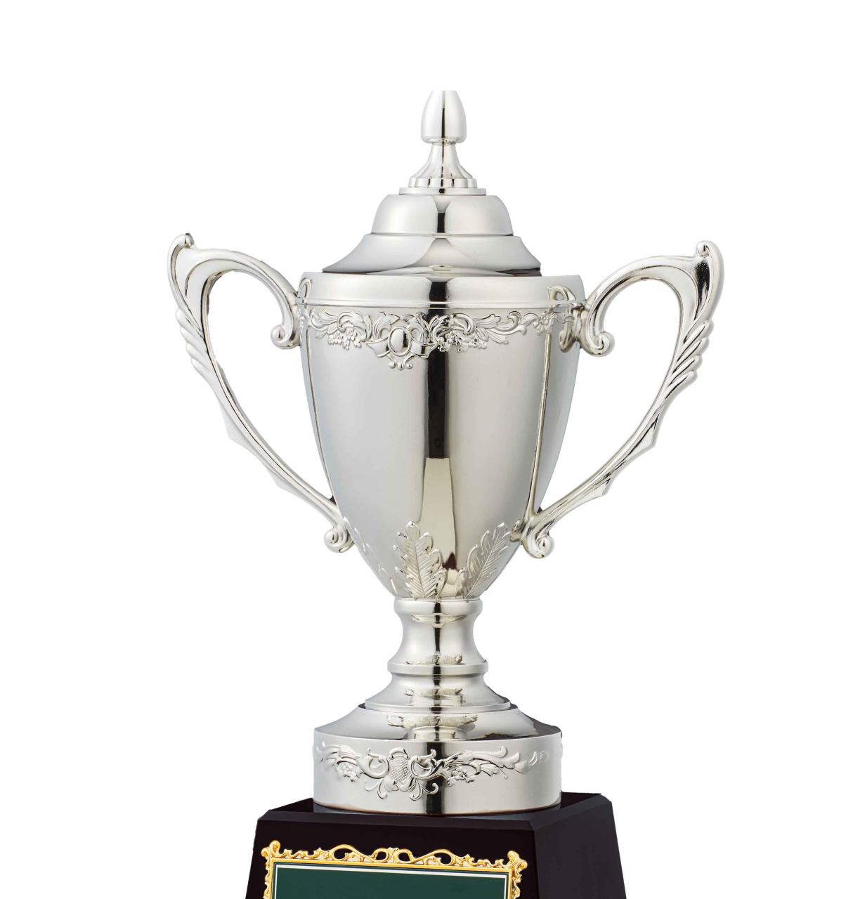 匠の技 アーサーカップ(1035)