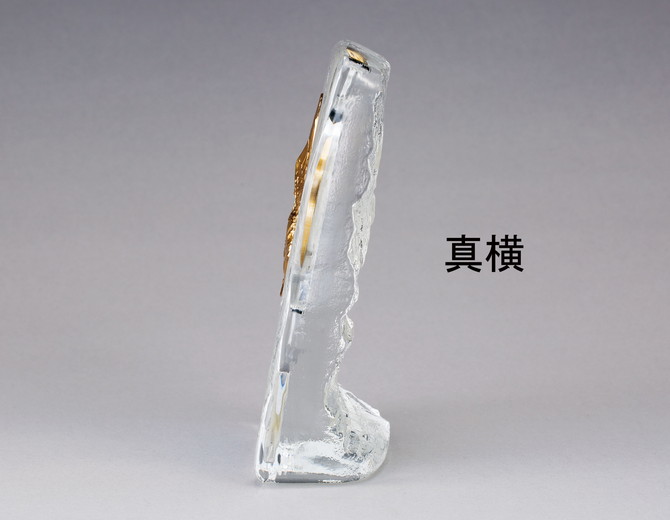 ランチュウ専用楯（RS6305）