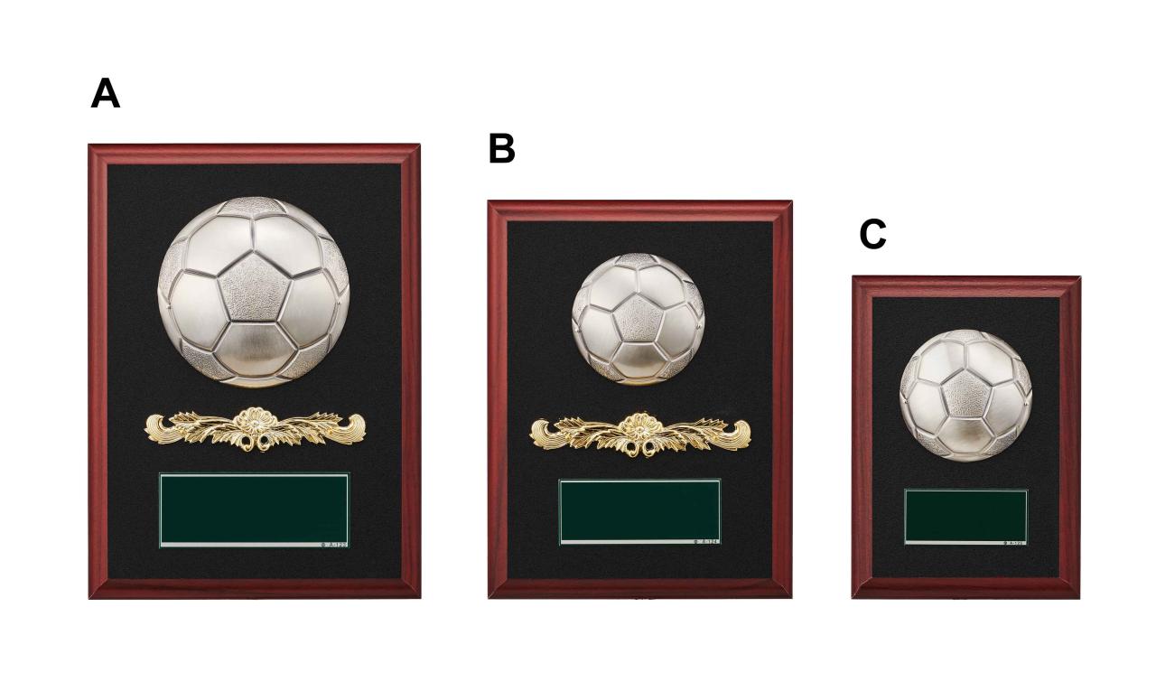 卒業記念品 サッカー(5022)