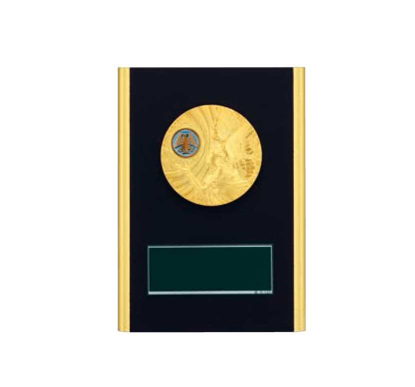 登山専用楯（6319）