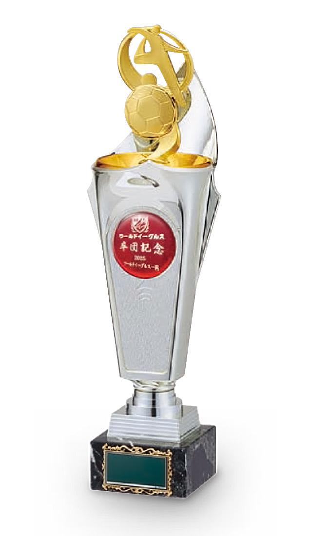 セミオーダーサッカートロフィー（レーザー樹脂盛）（7993）