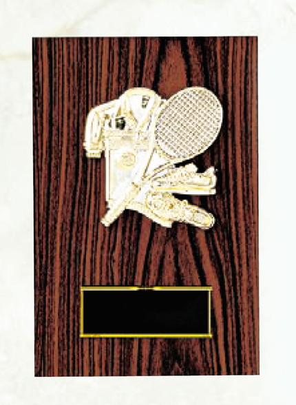 テニス専用楯（3461） KV3461