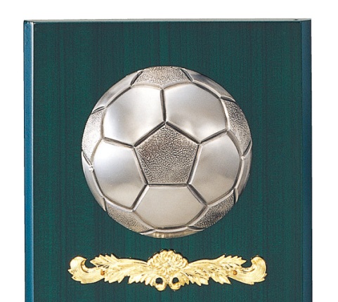 サッカー専用 楯（5271）